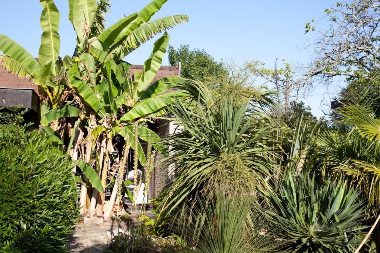 Villa Margaux Fargues-Saint-Hilaire Luaran gambar