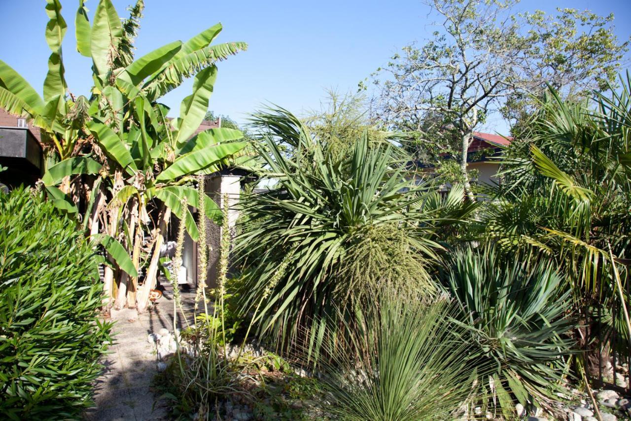 Villa Margaux Fargues-Saint-Hilaire Luaran gambar